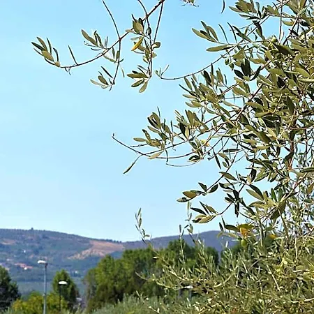 Oda ve Kahvaltı Il Rifugio D'amare Agropoli